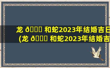 龙 🐎 和蛇2023年结婚吉日(龙 🕊 和蛇2023年结婚吉日以女方还是以男方)